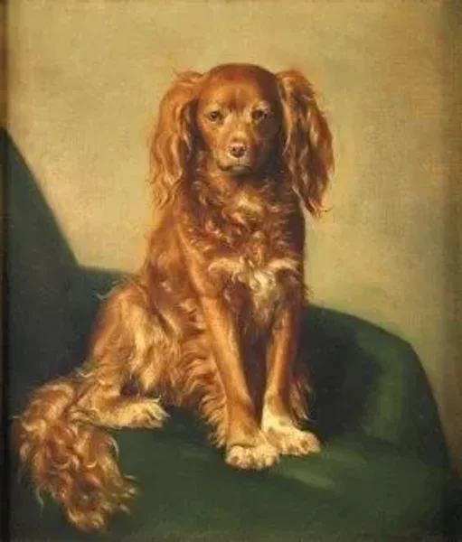 Pets of the English, French and Aristocrats of Europe