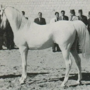 HAMDAN