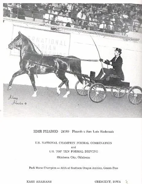 HMR Pharod