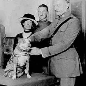 SGT. Stubby