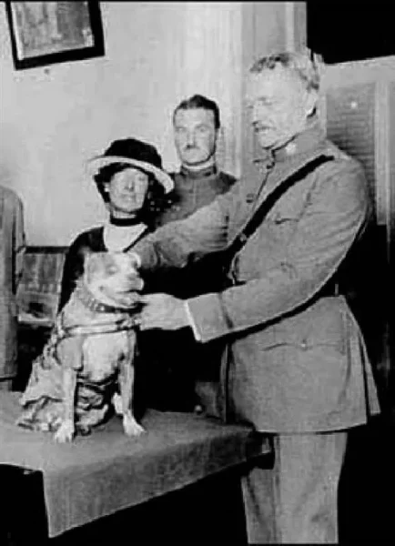 SGT. Stubby