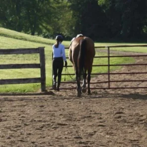 HORSES WILL ALWAYS BE THERE