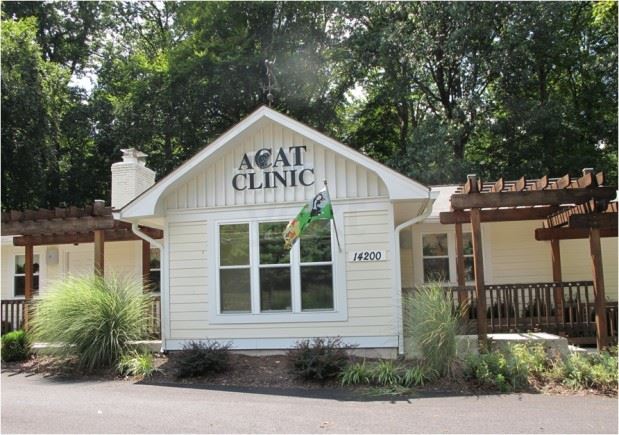 Veterinary Trend: Cat-only Clinics