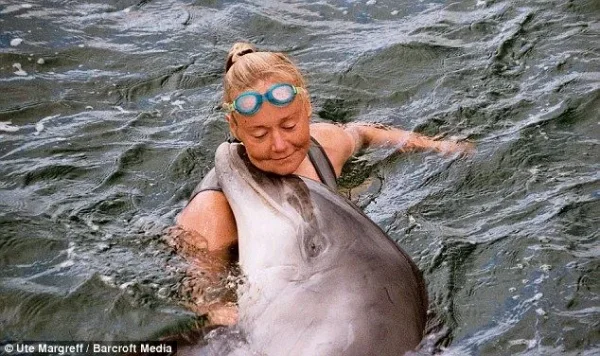 Flipper