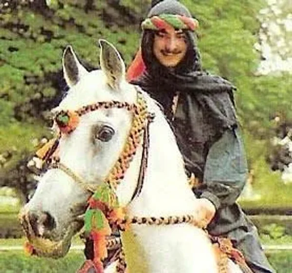 Sarwat