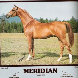 MERIDIAN
