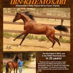IBN KHEMOSABI