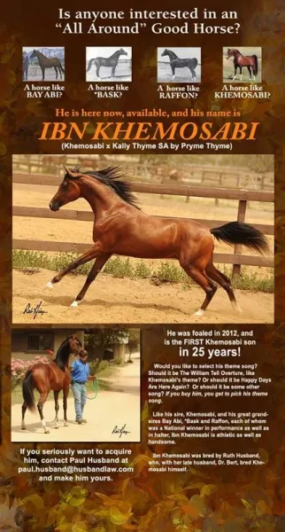 IBN KHEMOSABI