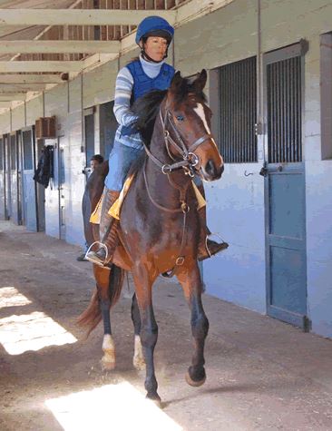 Your Ex- Race Horse . . . This is where it begins - Pt 2