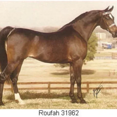 ROUFAH