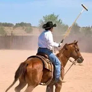 Cowboy Polo