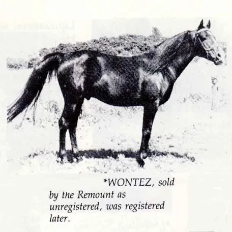 WONTEZ