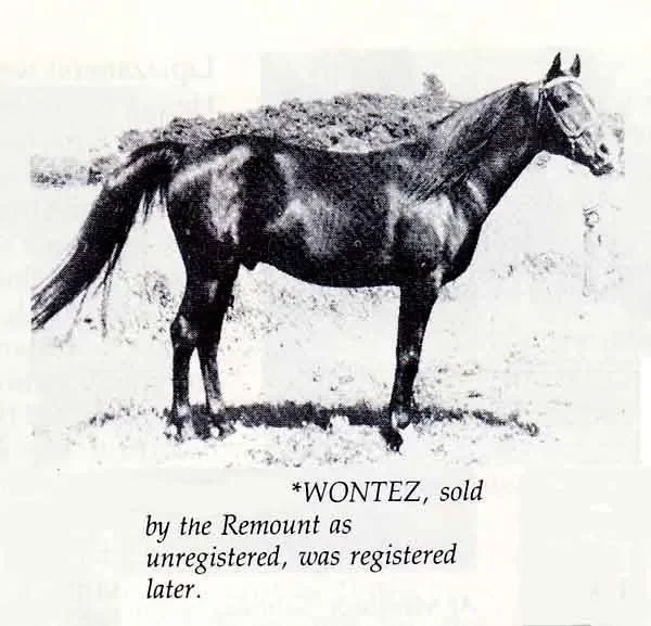 WONTEZ