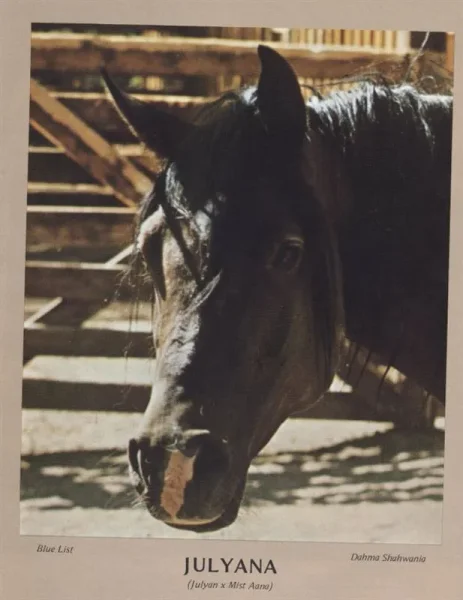 Julyana