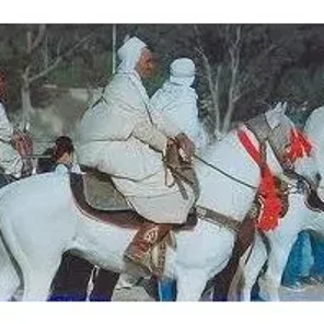 Baluchi