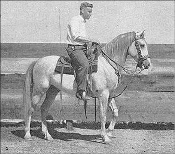 kabar