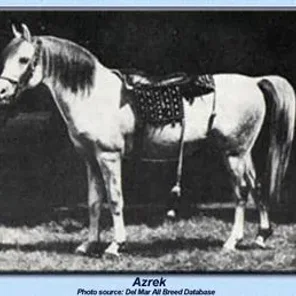 Azrek