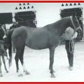 Sabiduria