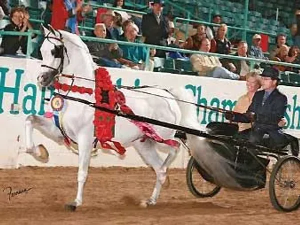 Sherry Pendleton