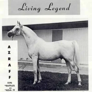 AZRAFF
