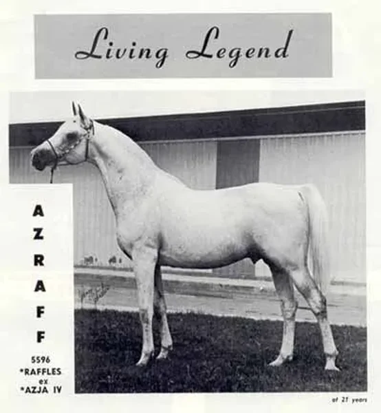 AZRAFF