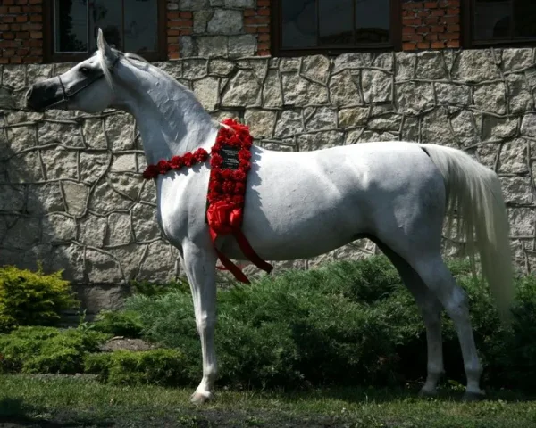 ZAGROBLA