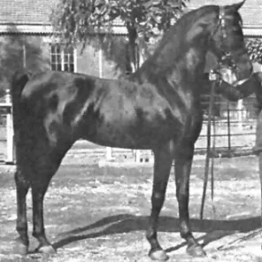 IBN RABDAN