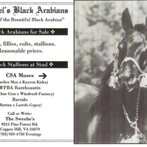 CSA MOSES