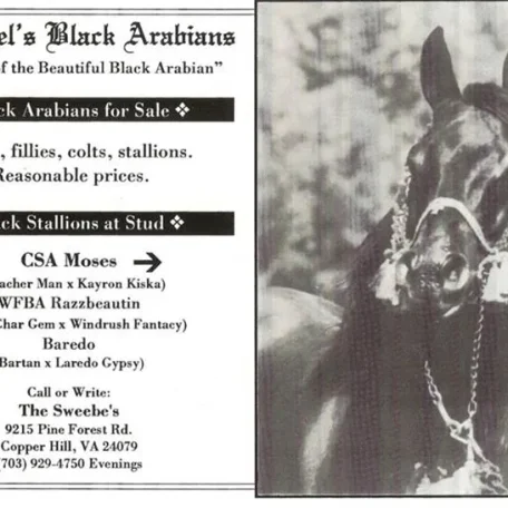 CSA MOSES