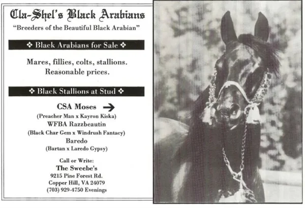 CSA MOSES