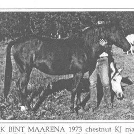 AK BINT MAARENA