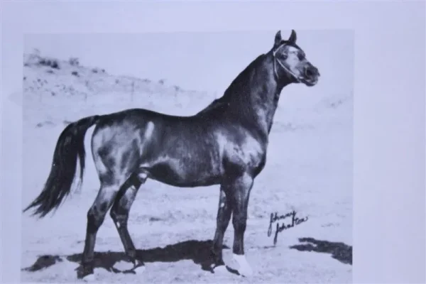 KARONEK