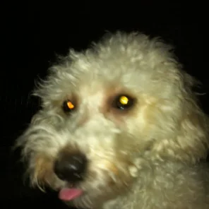 Ella