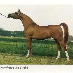 PRECIOUS AS GOLD