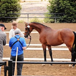 Excepchanel