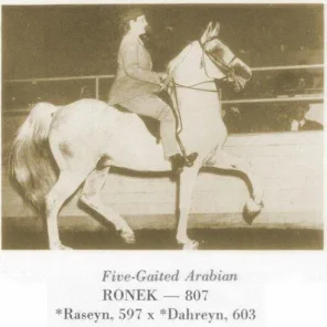 Ronek