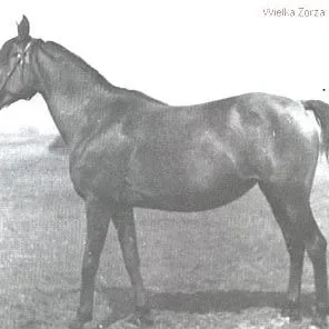 Wielka Zorza