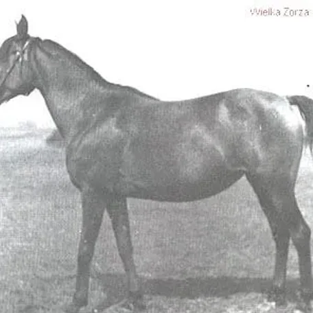 Wielka Zorza