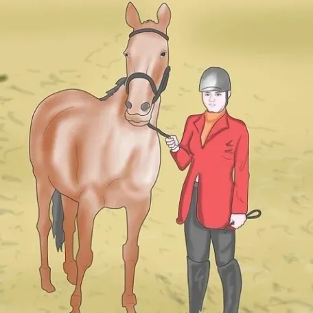 Riding Disciplines and Equestrian Styles - which one is right for you
