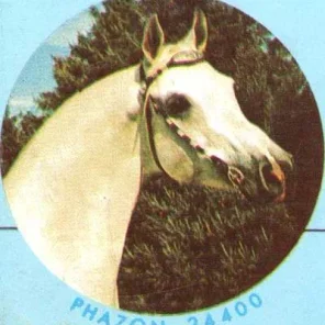 PHAZON