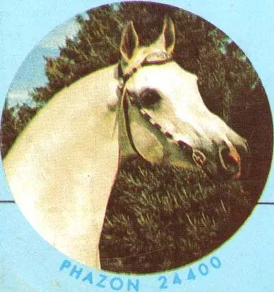 PHAZON
