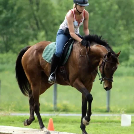 Scott Purdum Horsemanship