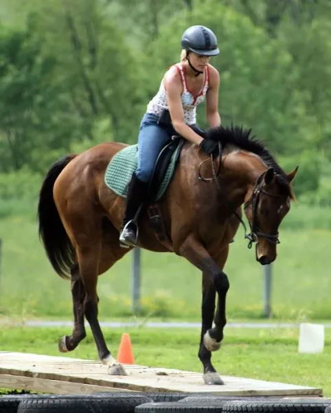 Scott Purdum Horsemanship