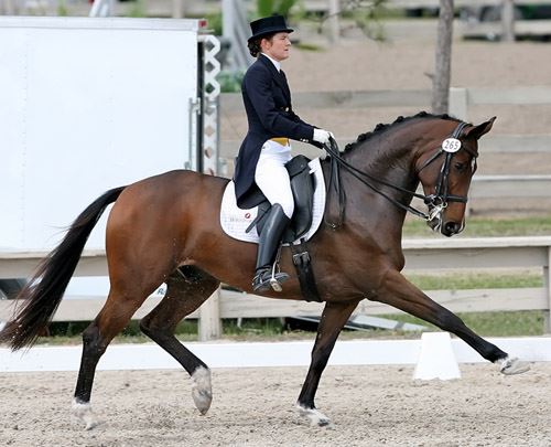 Dressage Trainers-What to Look For