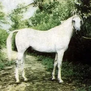 Nil