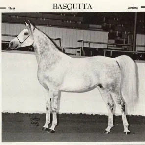 BASQUITA