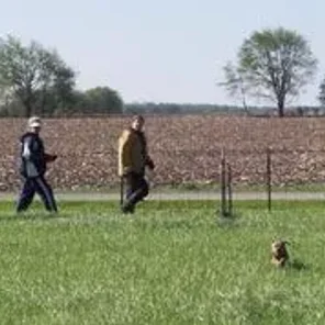 Earthdog Test