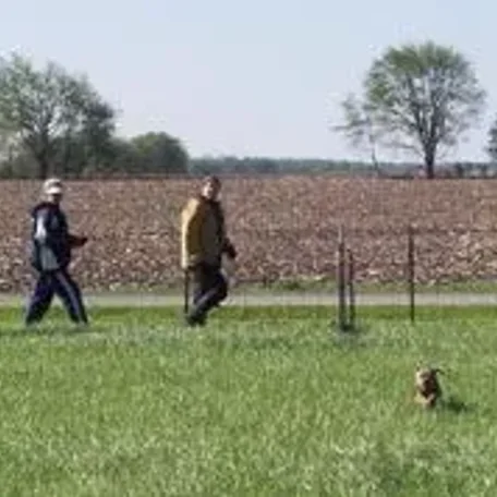 Earthdog