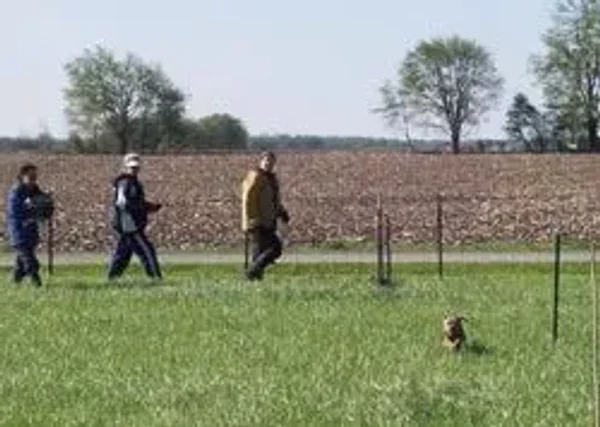 Earthdog