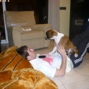 Hollywoods Stars and Some of Their Pets